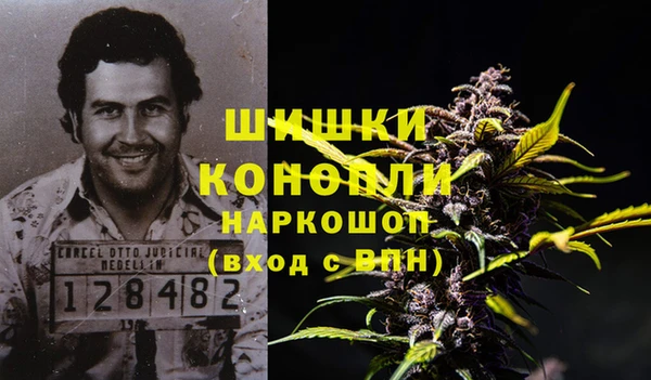 прущая мука Няндома