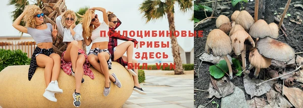 хмурый Нязепетровск
