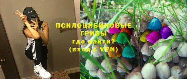 Альфа ПВП Новодвинск